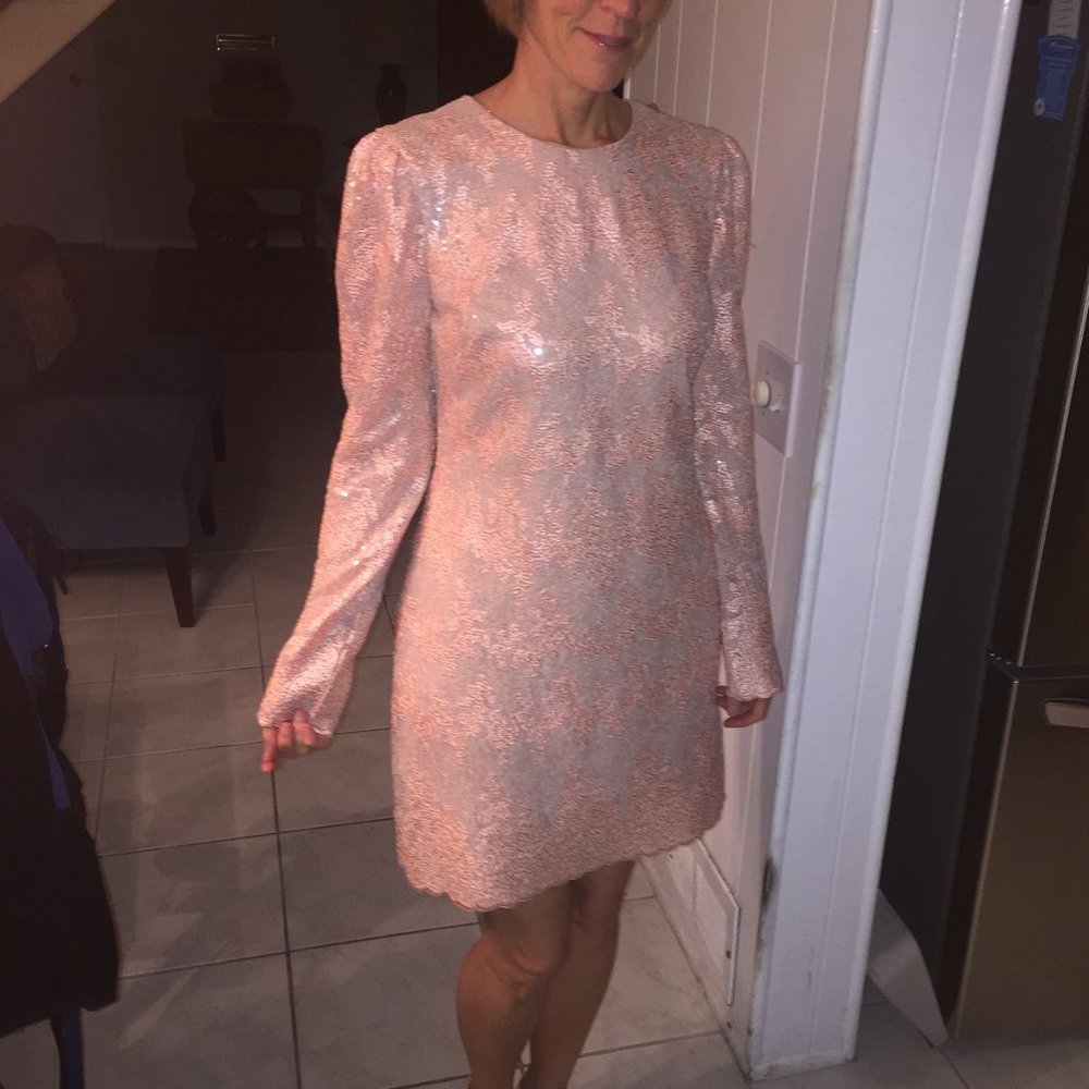 Dress the Population Sequin Sparkly Dress.